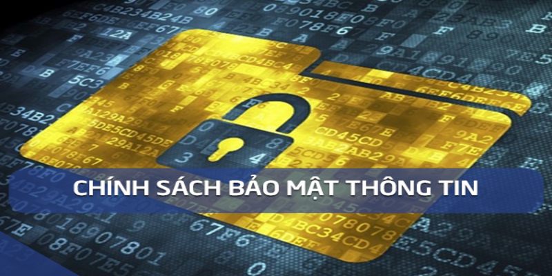 Cụ thể về chính sách Typhu88