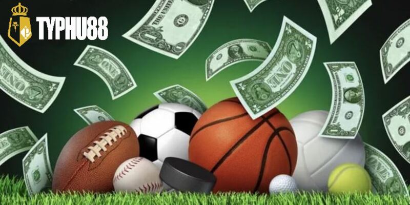 Blog typhu88 - nơi cung cấp và chia sẻ kinh nghiệm