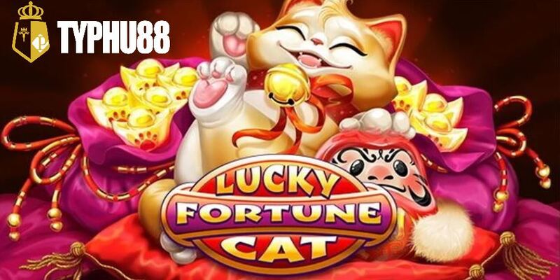 Mèo may mắn siêu hot